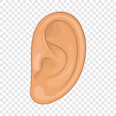Ear icon. Cartoon illustration of ear vector icon for web design