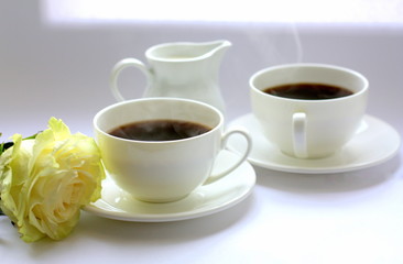   White cup with black coffee and milk. White fresh rose. Beautiful morning.