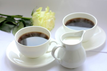   White cup with black coffee and milk. White fresh rose. Beautiful morning.