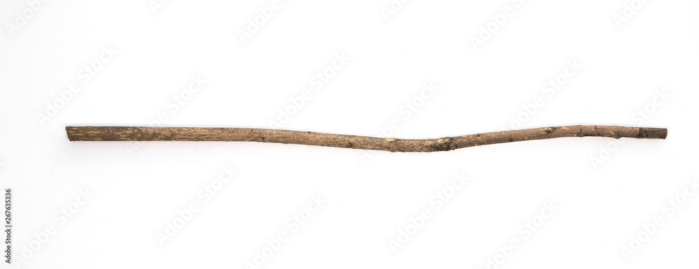 Wall mural magic staff, old wooden walking stick