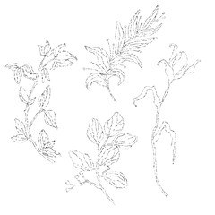 Pattern of fabulous silver colors. Isolated on white background