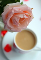  Beautiful and cute female cup of coffee and milk. Cappuccino and rose. Morning with coffee and flowers. Romance.