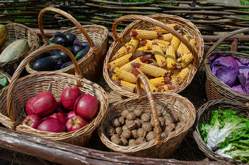 the cart with the autumn harvest