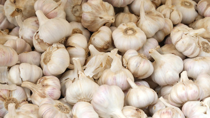 background of organic garlic