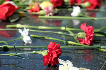 Carnations near the monument to the unknown soldier at the eternal flame