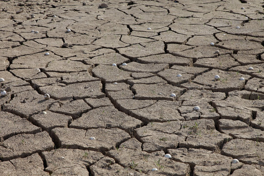 Drought. Golf balls revealed in mud