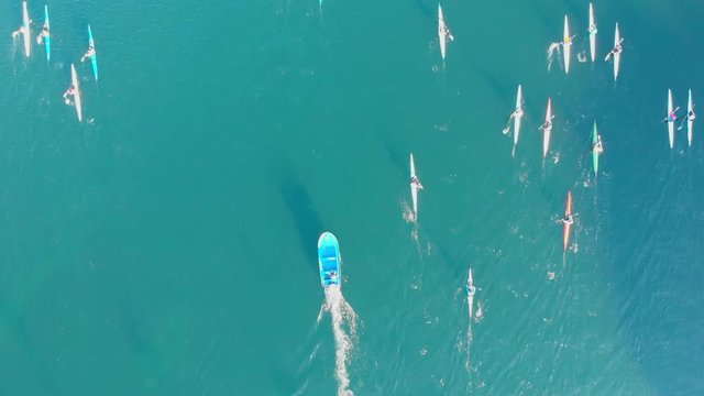 Canoe club down Lerez river in Pontevedra Spain