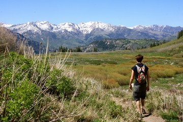 Fototapeta na wymiar Hiking in the Wasatch Mountains of Utah