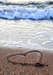  Delicate flowers in the summer in Egypt. Beautiful landscapes. Postcards of summer nature. Sea and sun. Love the sea and flowers.