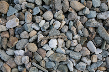 Pebbles and Wood Close-up