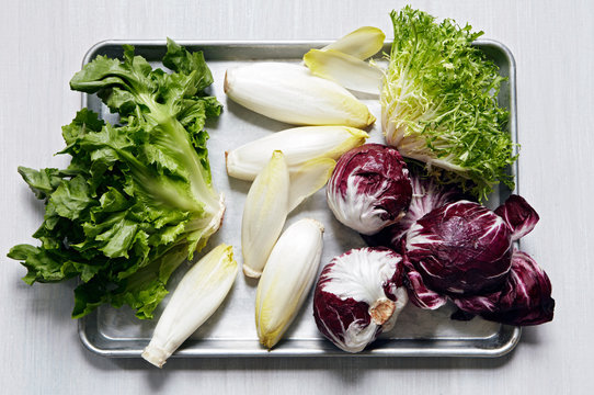 Chicories