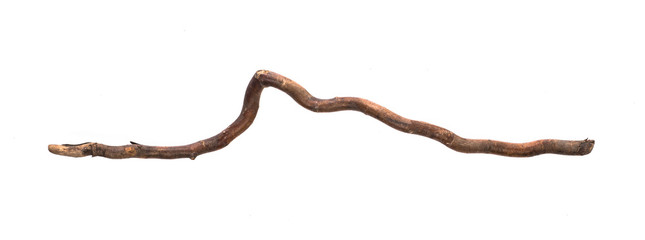 magic staff, old wooden walking stick