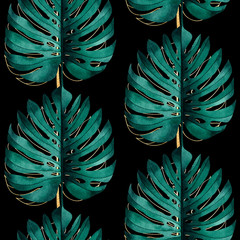 Tropical seamless pattern with exotic monstera plant leaves on black background. © Evgeniya
