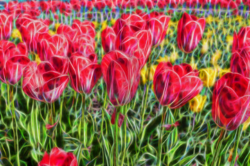 abstract fractal Beautiful tulips field