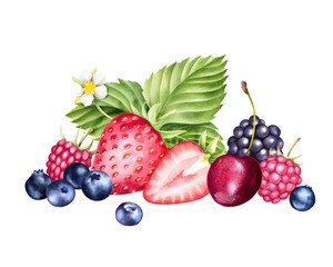 Hand drawn illustration of berries with leaves. Isolated watercolor fruit sketch. Strawberry, blueberry, blackberry, raspberry and cherry.