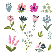 Vector set of isolated floral elements with hand drawn flowers. Botany set of doodle elements.