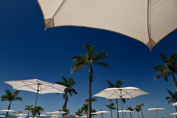Obraz na płótnie Canvas Poolside resort umbrellas with palm trees in Nuevo Vallarta Mexico