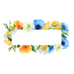 Watercolor rectangular frame with summer meadow flowers and herbs. Background with floral pattern and  place for text