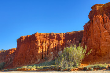 Falésia beach albufeira in Algarve Portugal