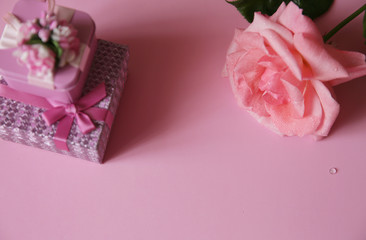 pink rose with gift box and water drops on a pink background, space for text