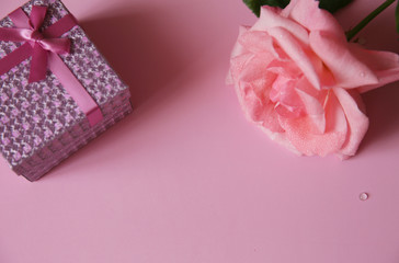 pink rose with gift box and water drops on a pink background, space for text