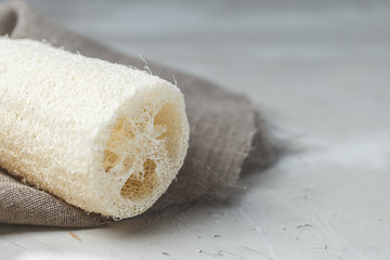 Luffa sponge for zero waste washing or bath
