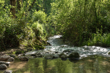 Fototapeta premium Río Majaceite, en la provincia de Cádiz, Andalucía, España.