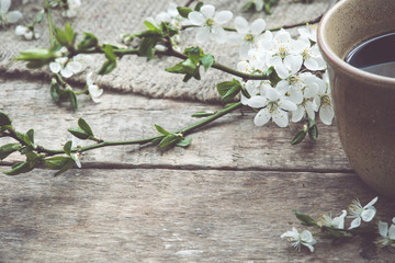 Spring blossom branch and cup coffee