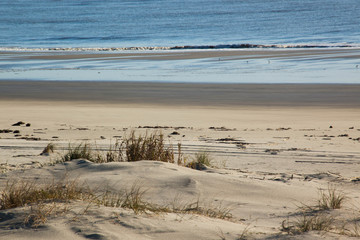 Sand dunes at the ocean