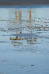Palm trees reflected in water at the beach