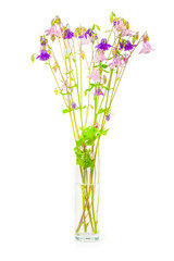 bouquet of spring or summer purple and pink flowers in a glass vase close-up on a white background