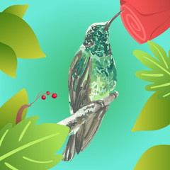 Colibrí ilustrado © Andreans