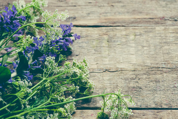 summer flowers on a wooden background