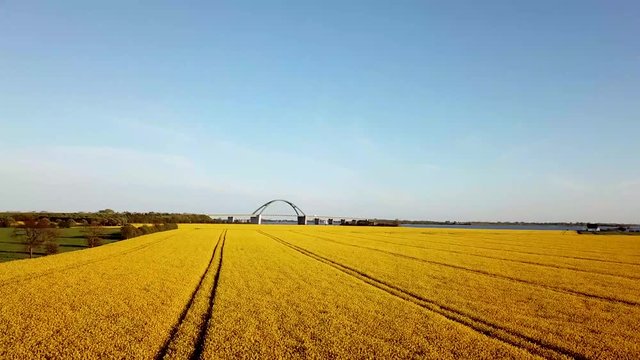 Fehmarn Bridge and Rapeseed Field Aerial View