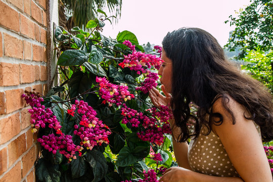 Venda de flores em uma barraca da feira de rua