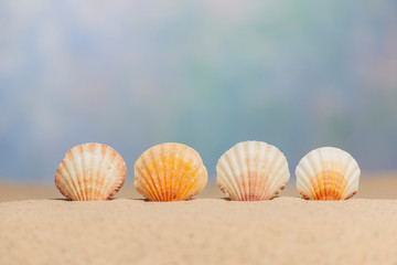 Four Sea Shells On Sand With Copy Space