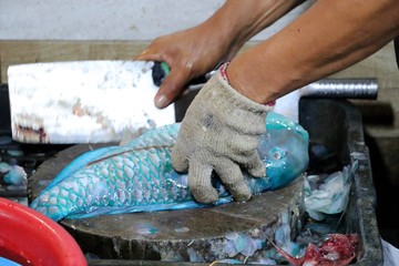 a man dismantles a fish at the night market - Kota Kinabalu Borneo Sabah Malaysia Asia