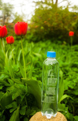 bottle of water on green grass