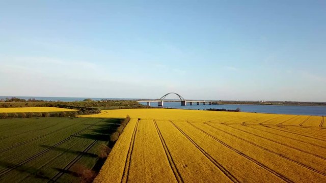 Fehmarn Bridge and Rapeseed Field Aerial View