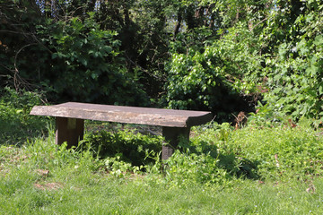 panchina di legno nel parco e bosco, 