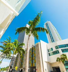 Fototapeta na wymiar Downtown Miami under a clear sky