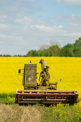 combine harvester working on colza field