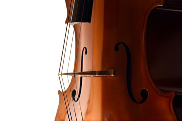 Cello strings closeup in dramatic light on white background