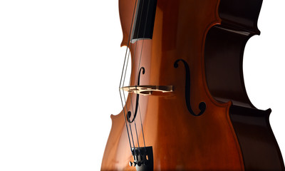 Cello closeup in dramatic light on white background