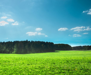 green field ,forest and blue sky