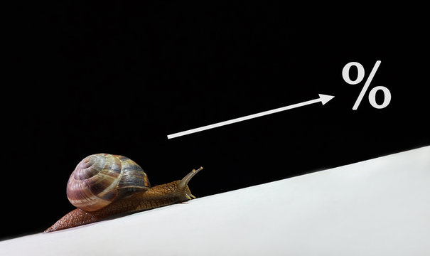 Big Snail Crawling Up The Mountain. Concept Of Slow Business Growth And Profits.