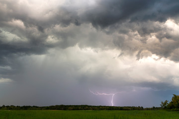 The lightning strikes between stormy clouds.