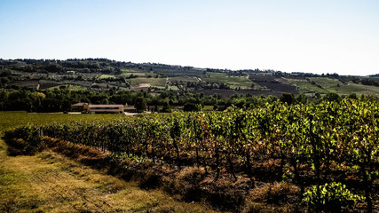 Fototapeta na wymiar Landscape of the Tuscan vineyards, Chianti region, Italy