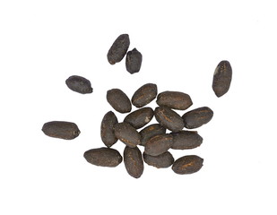 Deer droppings isolated on white. Deer excrement.