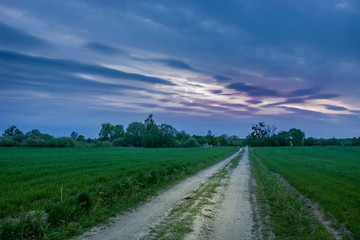 Road through green fields, trees and dark clouds on the sky